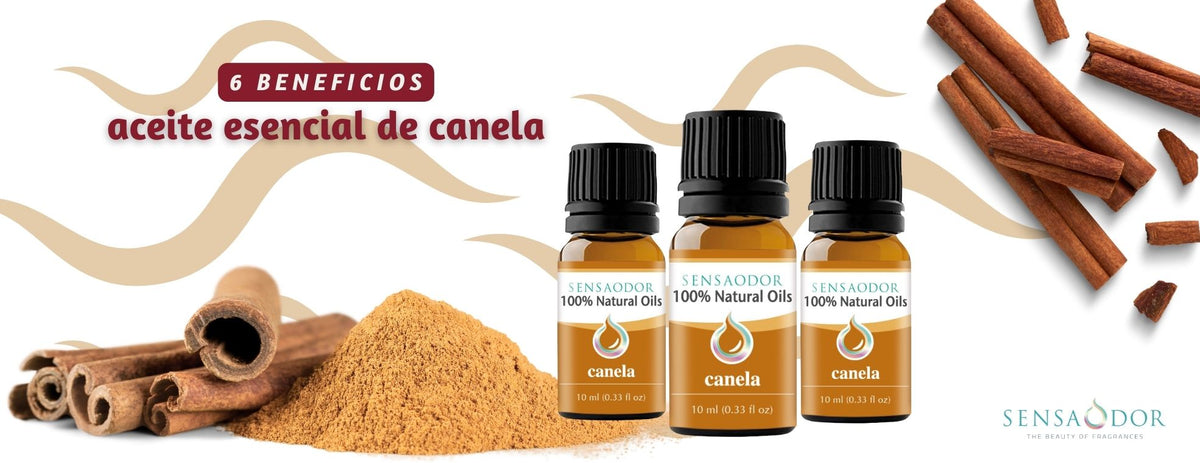 6 beneficios del aceite esencial de canela – Sensaodor