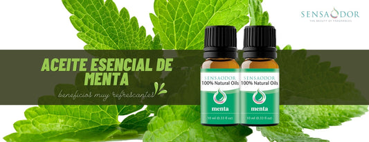 Aceite esencial de menta: refrescante y beneficioso