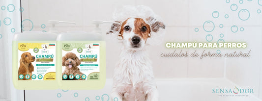 Champús para perros Sensaodor, cuídalos de forma natural