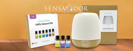 Viviendo más saludablemente: 6 beneficios de tener un humidificador en casa