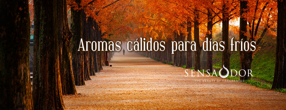 🍁 Aromas cálidos para días fríos