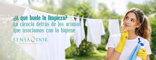 ¿A qué huele la limpieza? Ciencia y sensación de limpieza