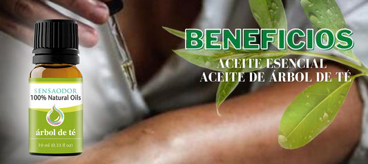 ACEITE ESENCIAL DE ÁRBOL DE TÉ, TU GRAN ALIADO