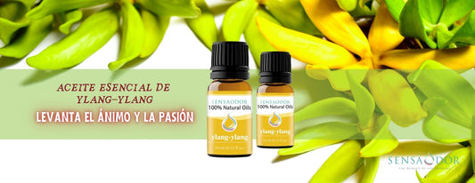 Aceite esencial natural de ylang-ylang, fuente de buen humor y pasión