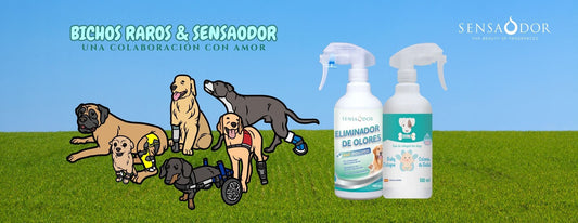 Bichos raros y Sensaodor, una colaboración con amor