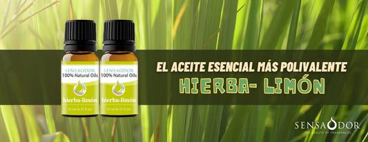 Hierba- limón: el aceite esencial más polivalente.