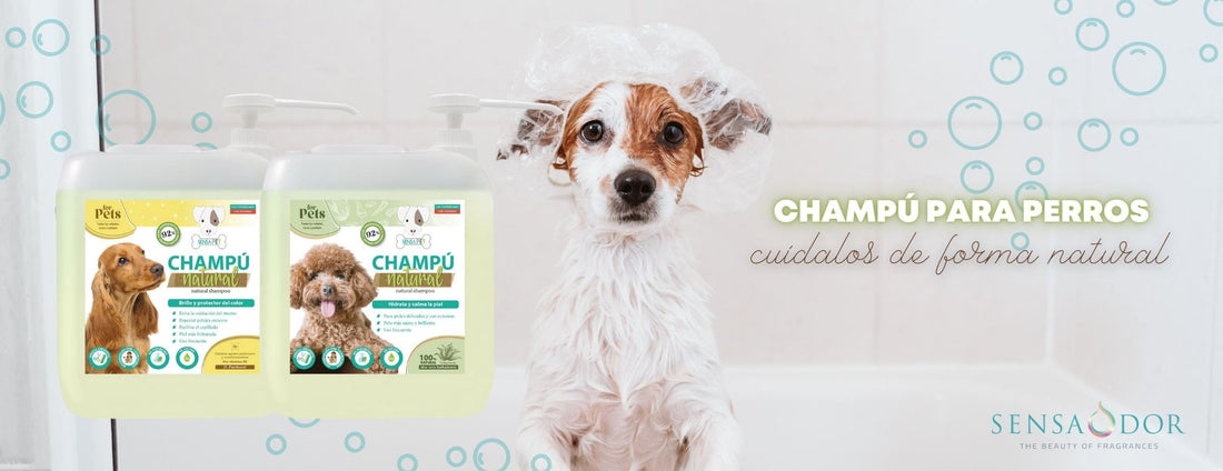 Champús para perros Sensaodor, cuídalos de forma natural