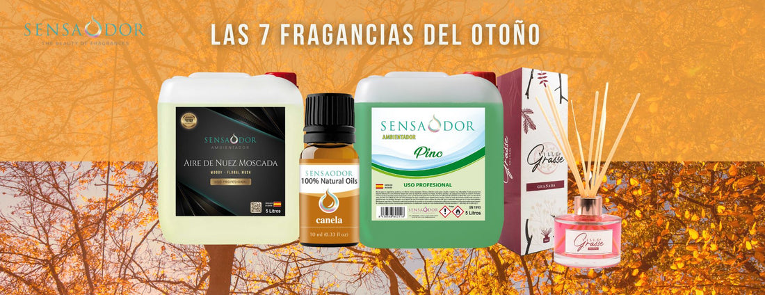 ¿Cuáles son las 7 fragancias del otoño?