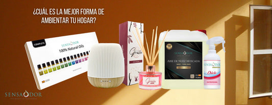 ¿Cuál es la mejor forma para ambientar tu hogar?