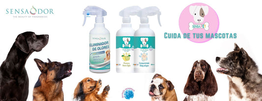 Sensapet, el perfume preferido de tu mascota