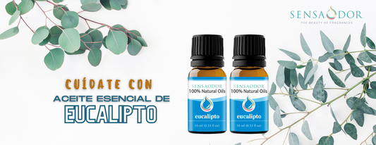 Cuídate con aceite esencial de Eucalipto