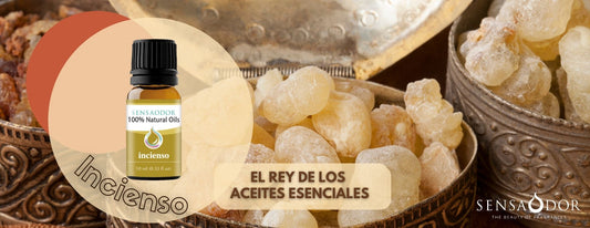 Incienso, el rey de los aceites esenciales