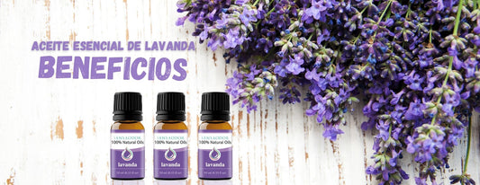 ACEITE ESENCIAL DE LAVANDA. DISFRUTA DE SUS BENEFICIOS