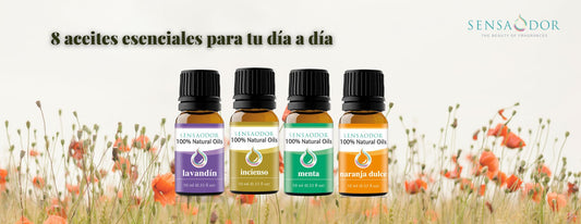 8 aceites esenciales ideales para tu rutina diaria