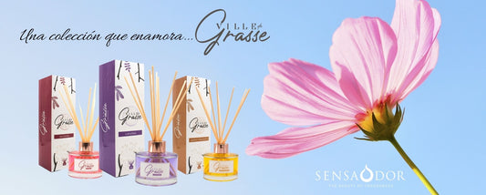 'Ville de Grasse', el nuevo aroma de tu hogar